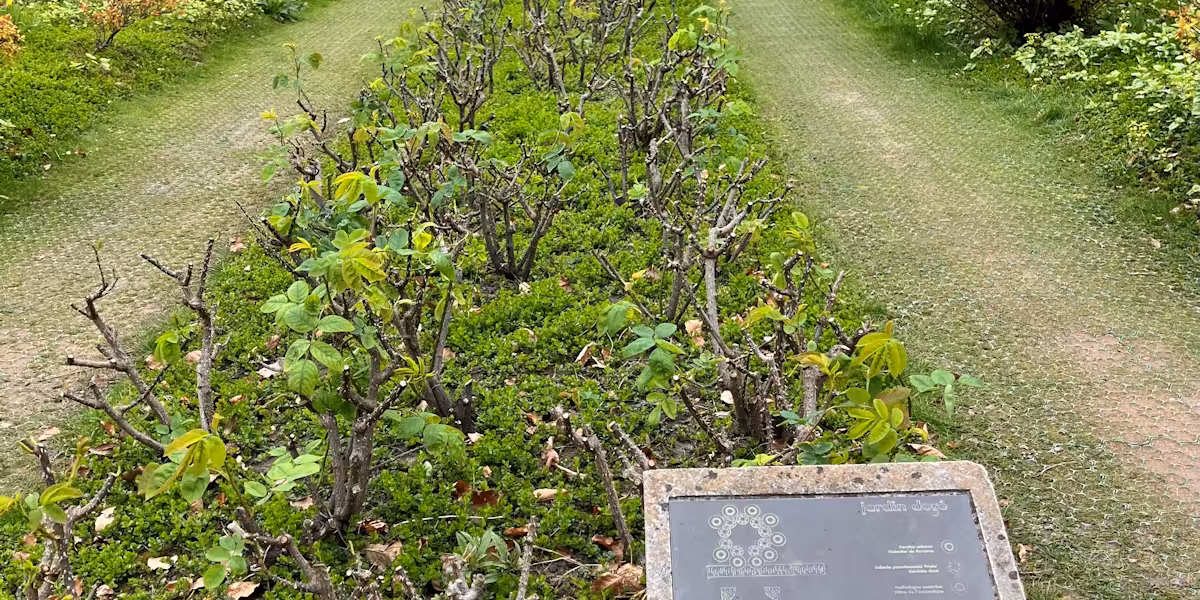 Garten mit Orientierungsplan